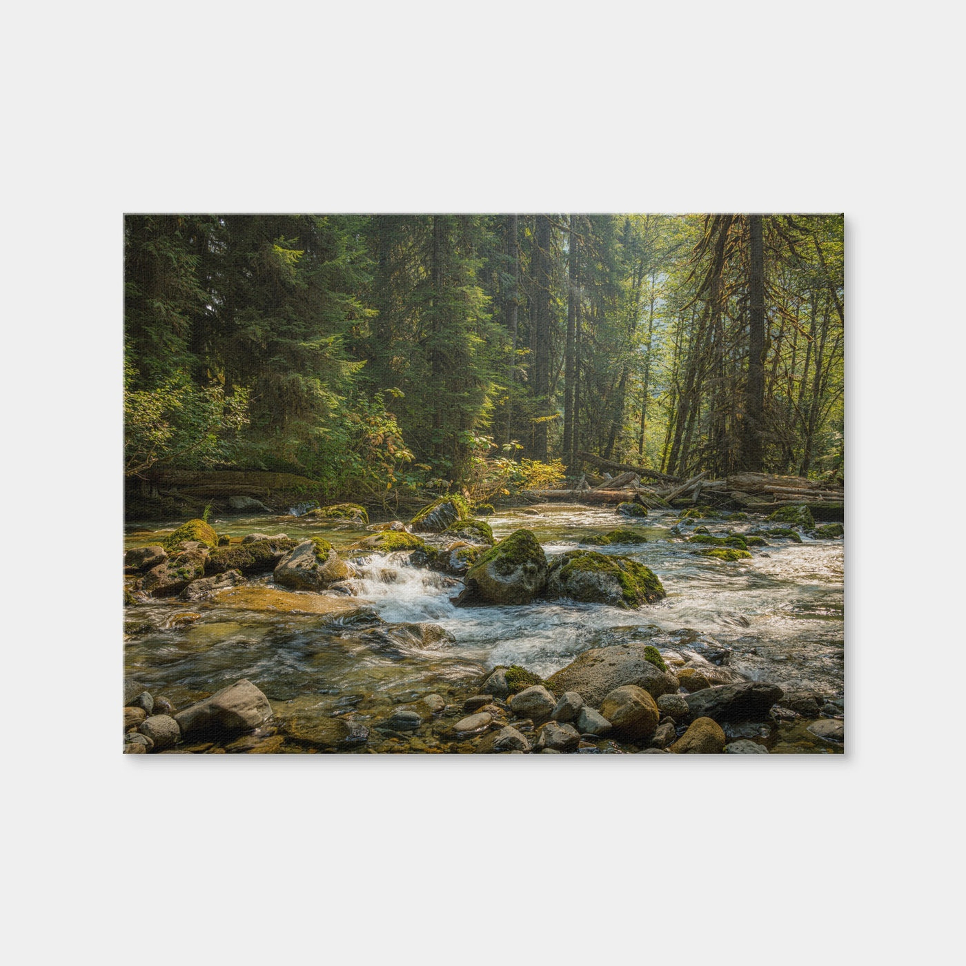 AUTO-MOCKUP WHITE | Cascade River | 1 Piece | Gallery Wrap Canvas | group=4x3
