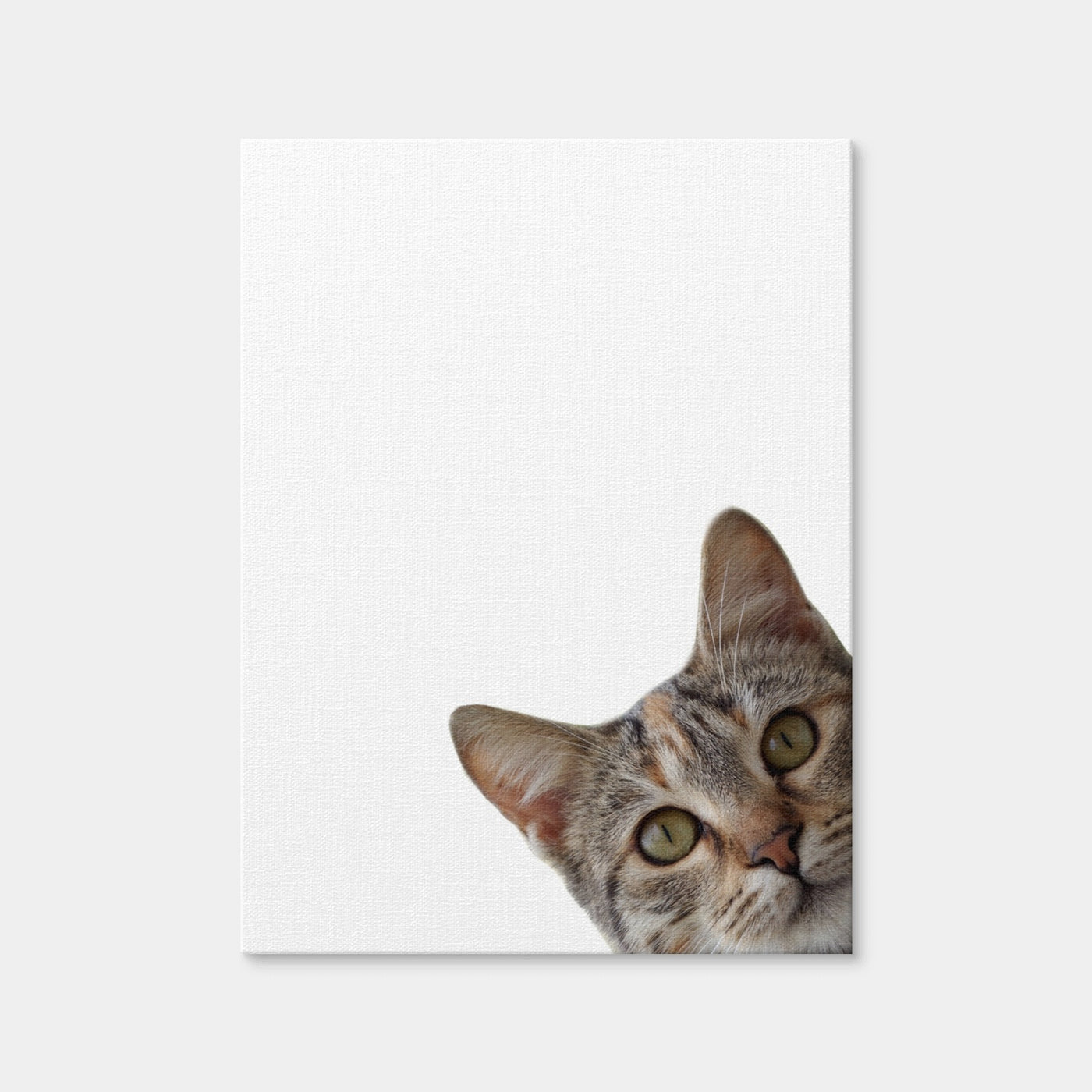 AUTO-MOCKUP WHITE | Cat Face | 1 Piece | Gallery Wrap Canvas | group=3x4