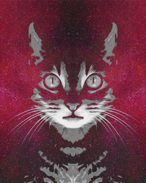 Cat Face with Cosmic Background Wall Art