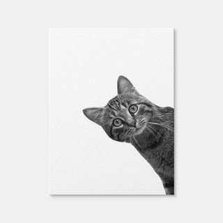 AUTO-MOCKUP WHITE | Cat | 1 Piece | Gallery Wrap Canvas | group=3x4
