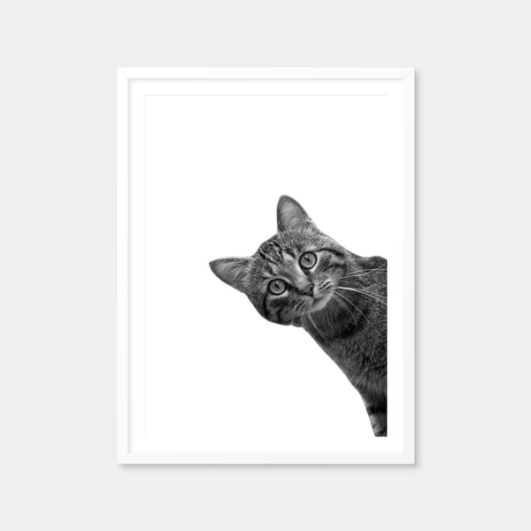 Cat Wall Art — Framed Print Format preview