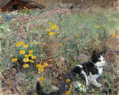 Cat on a flowery Meadow Wall Art