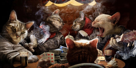 Cats Playing Poker Wall Art