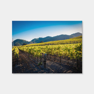 AUTO-MOCKUP WHITE | Central California Vineyard | 1 Piece | Gallery Wrap Canvas | group=4x3