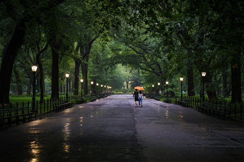 Central Park Walk Wall Art