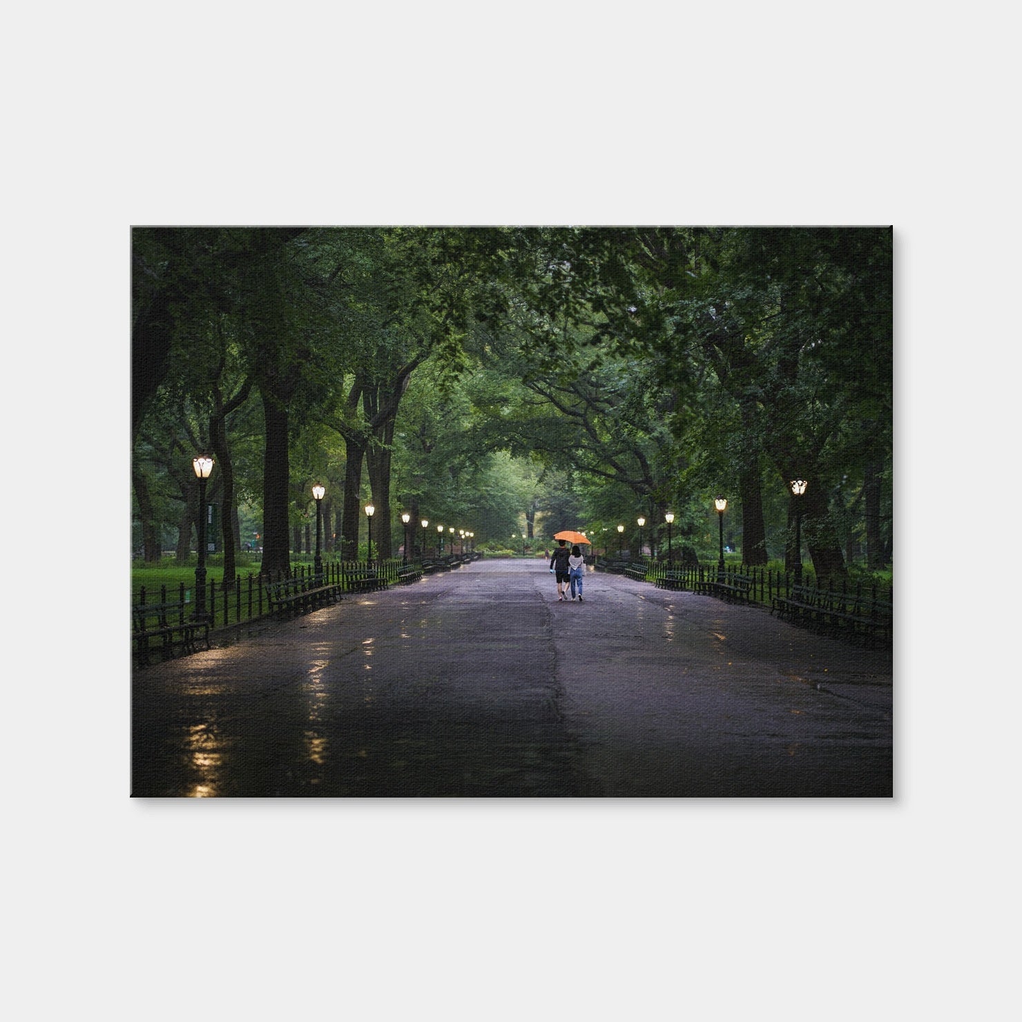 AUTO-MOCKUP WHITE | Central Park Walk | 1 Piece | Gallery Wrap Canvas | group=4x3