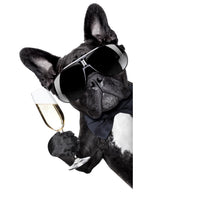 Champagne dog Wall Art