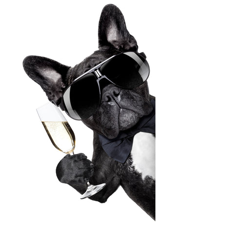 Champagne dog Wall Art