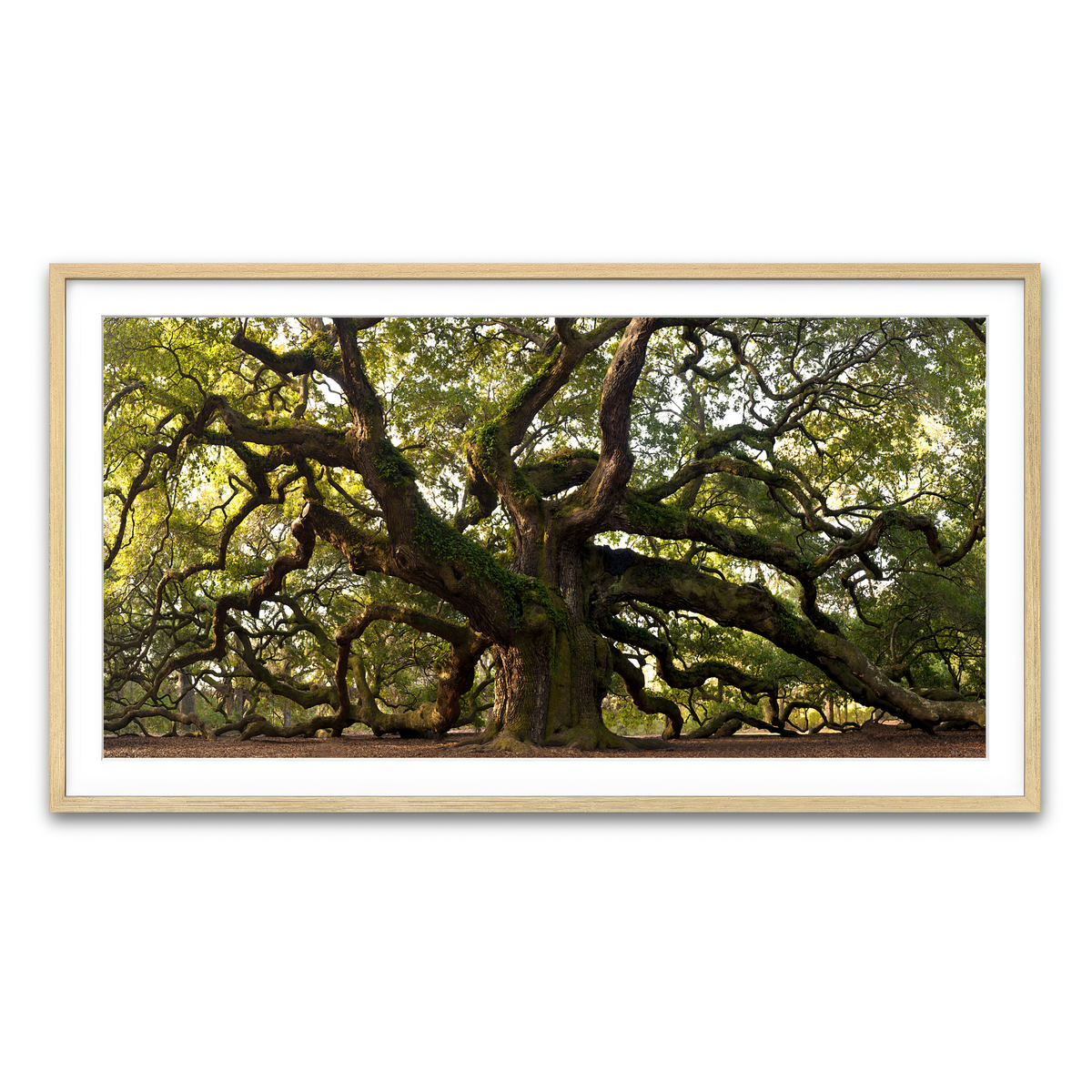 Framed Print 2x1 Natural