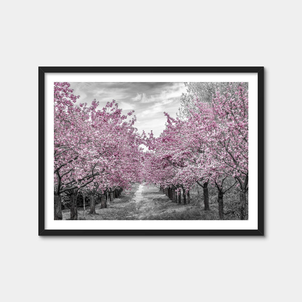Charming Cherry Blossom Alley Wall Art — Framed Print Format preview