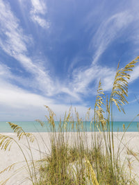 Charming beach scenery Wall Art