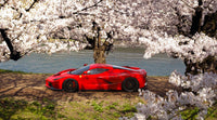 Cherry Blossom Wall Art