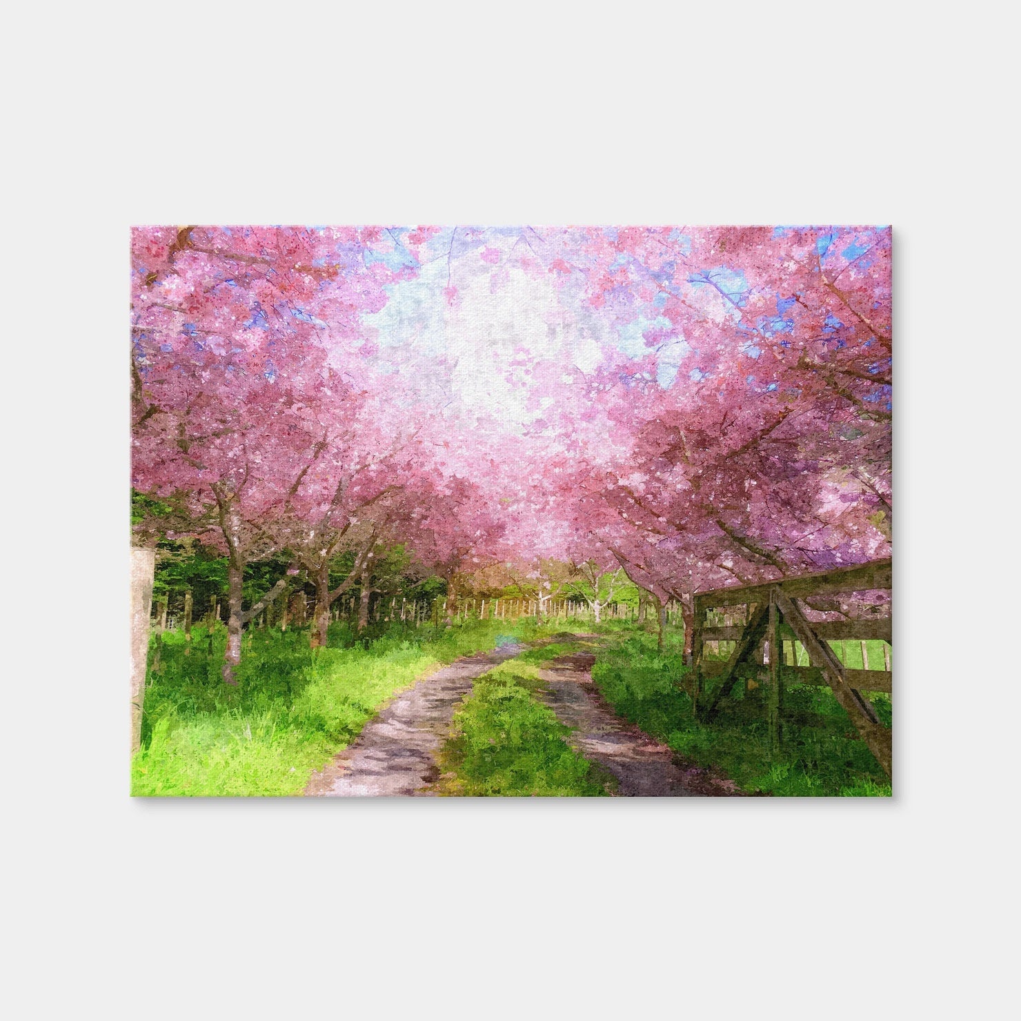 AUTO-MOCKUP WHITE | Cherry Blossom Lane | 1 Piece | Gallery Wrap Canvas | group=4x3