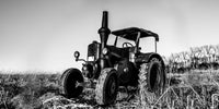 Classic Tractor Wall Art