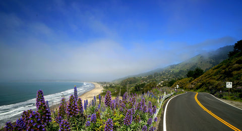 Coastal highway Wall Art
