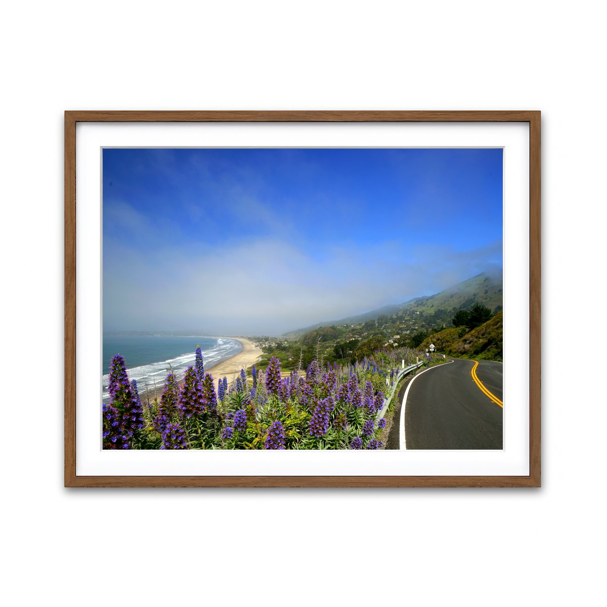 Coastal Highway Wall Art