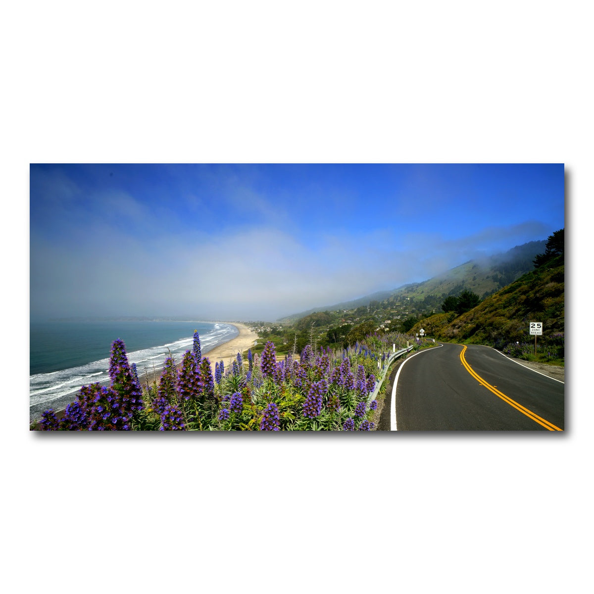 Coastal Highway Wall Art