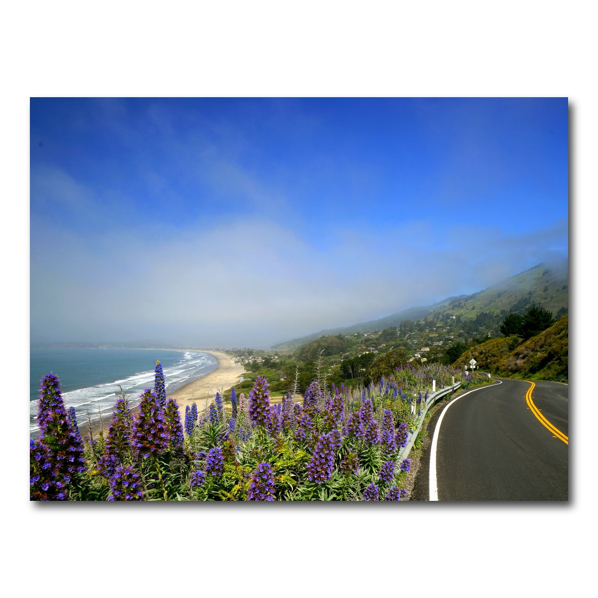 Coastal Highway Wall Art