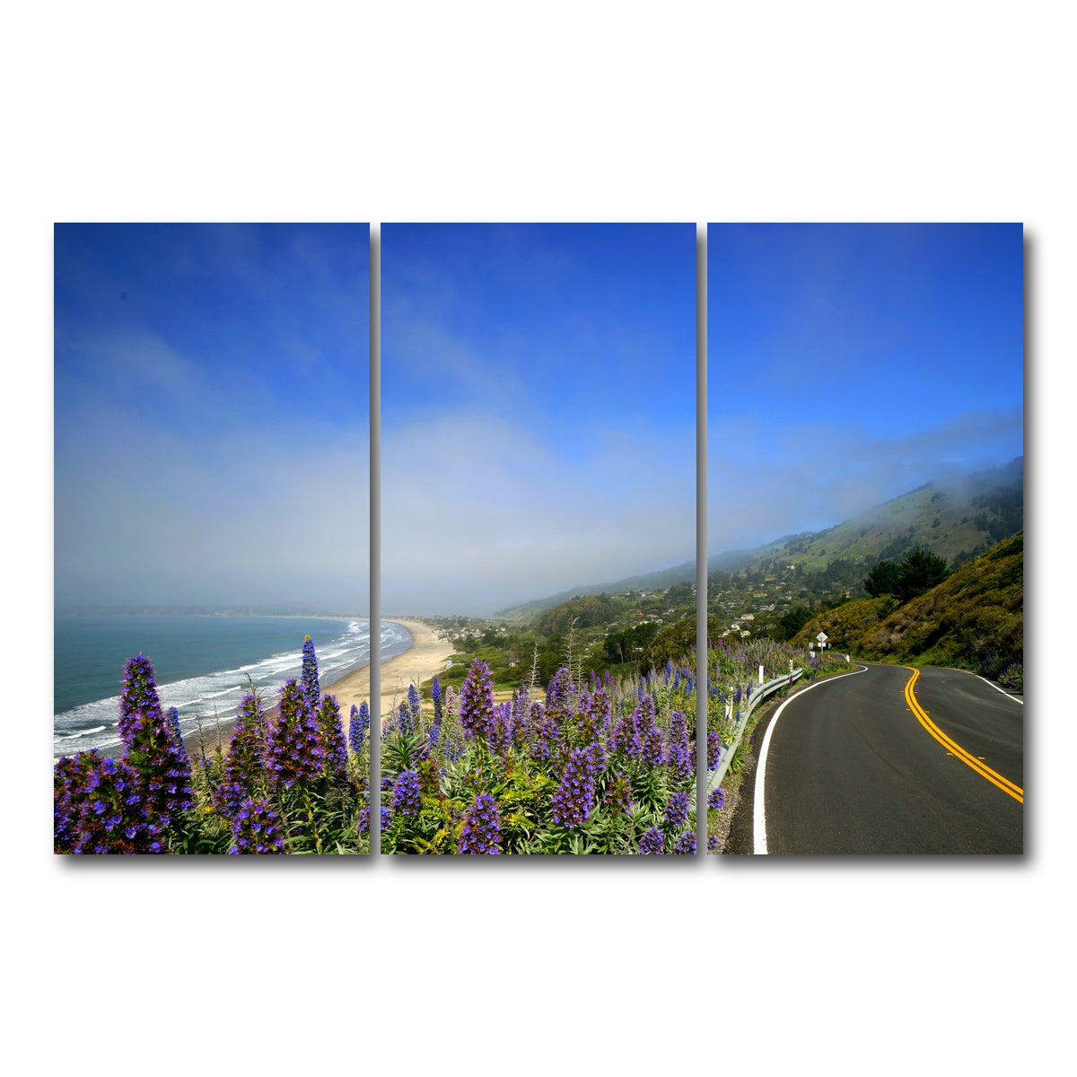 Coastal Highway Wall Art