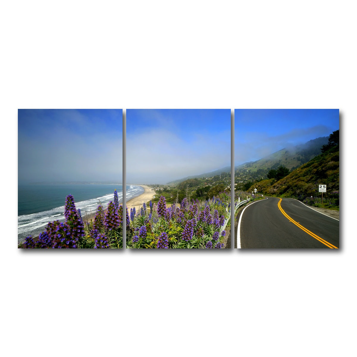 Coastal Highway Wall Art