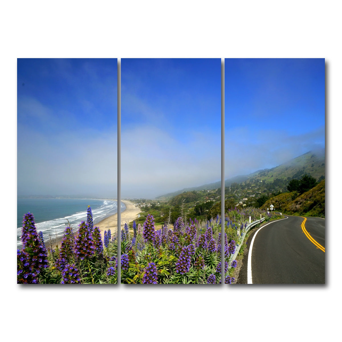 Coastal Highway Wall Art