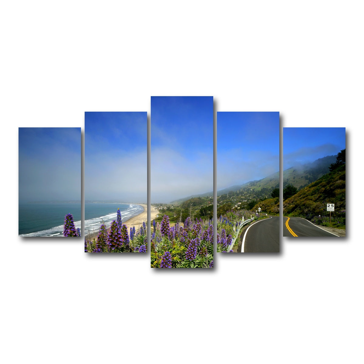 Coastal Highway Wall Art