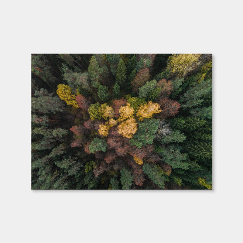 AUTO-MOCKUP WHITE | Colorful Canopy | 1 Piece | Gallery Wrap Canvas | group=4x3