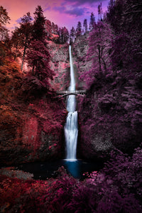 Colorful Falls Wall Art