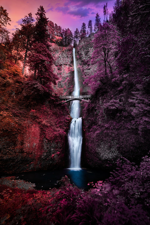Colorful Falls Wall Art
