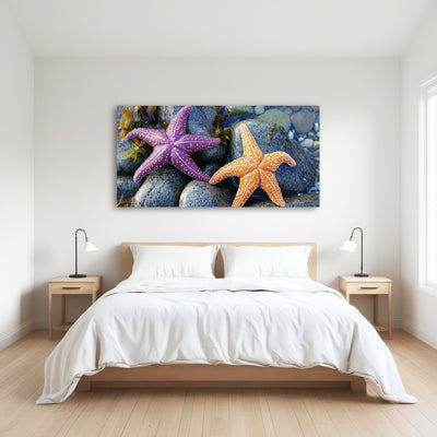 AUTO-MOCKUP ROOM | Colorful starfishes
