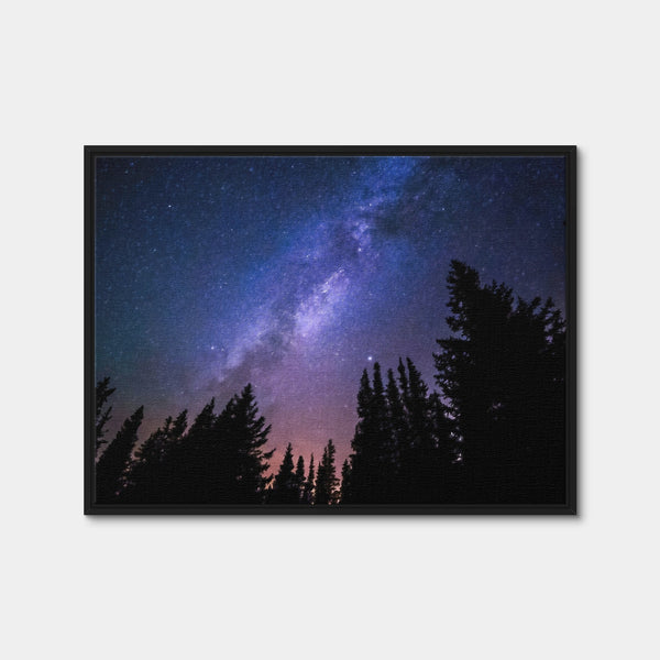 Conifers Reaching To Milky Way Wall Art — Framed Canvas Format preview