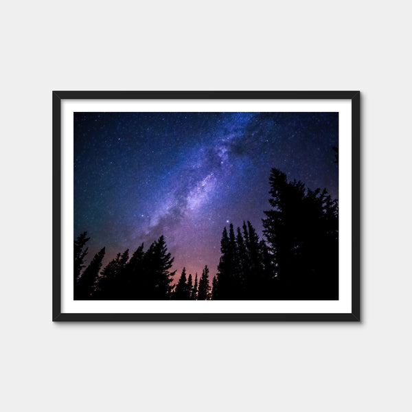 Conifers Reaching To Milky Way Wall Art — Framed Print Format preview