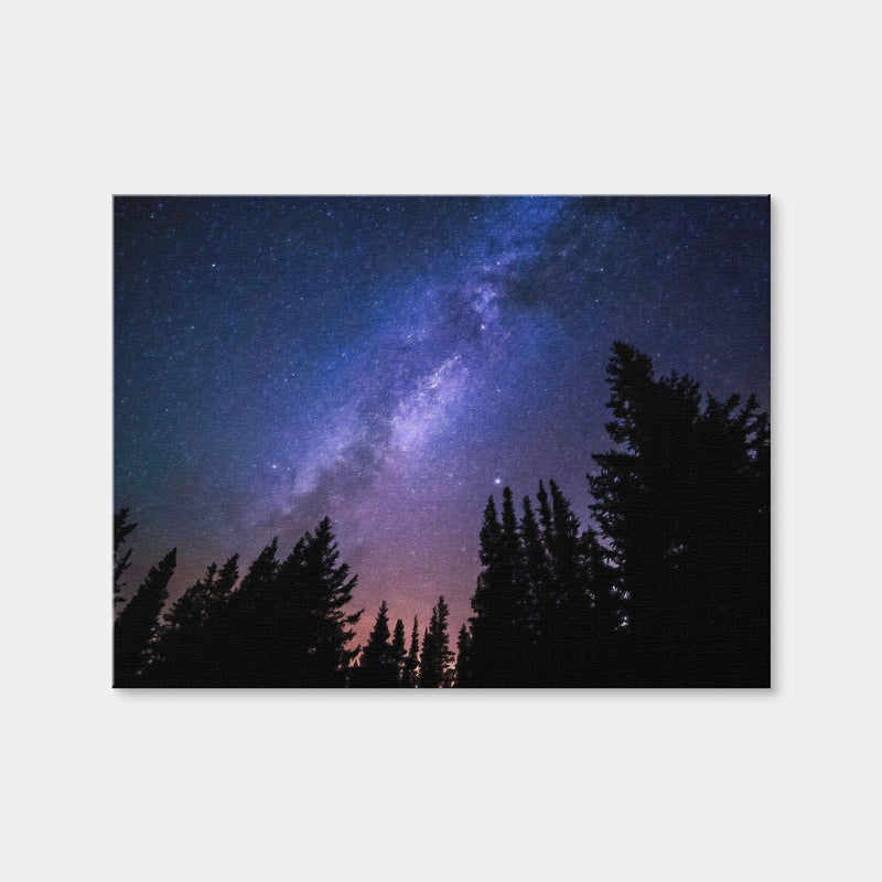 AUTO-MOCKUP WHITE | Conifers Reaching To Milky Way | 1 Piece | Gallery Wrap | group=4x3