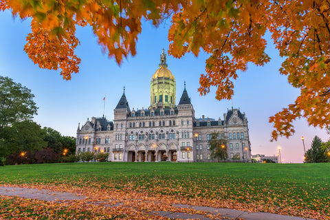 Connecticut State Capitol Wall Art