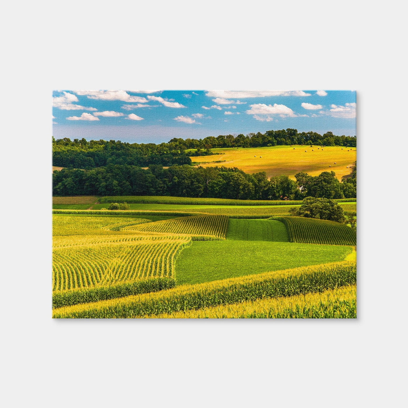 AUTO-MOCKUP WHITE | Corn Fields and Rolling Hills York County | 1 Piece | Gallery Wrap Canvas | group=4x3