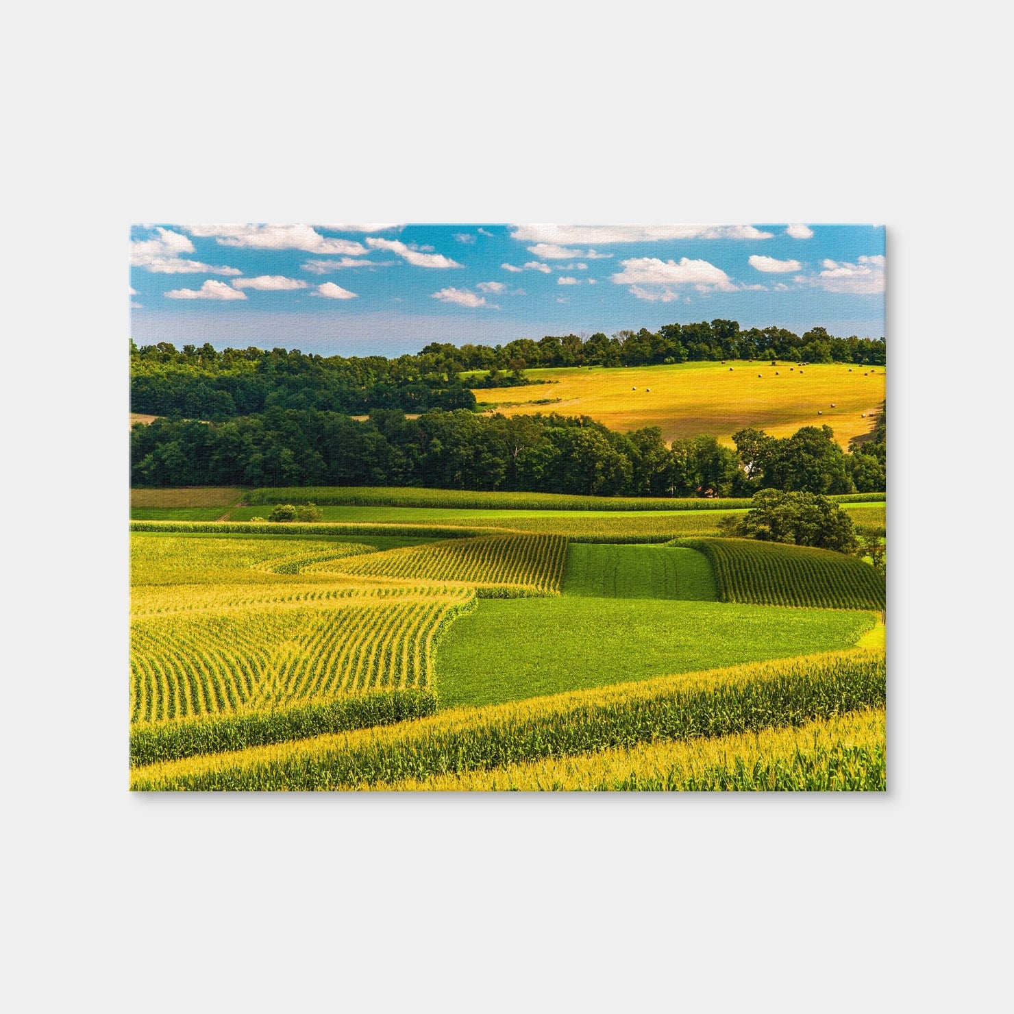 AUTO-MOCKUP WHITE | Corn Fields and Rolling Hills York County | 1 Piece | Gallery Wrap Canvas | group=4x3