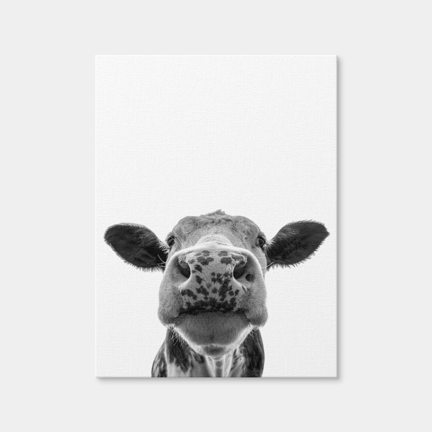 AUTO-MOCKUP WHITE | Cow | 1 Piece | Gallery Wrap Canvas | group=3x4