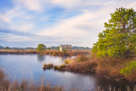 Cranberry Bog Pumpshack Sunrise Wall Art