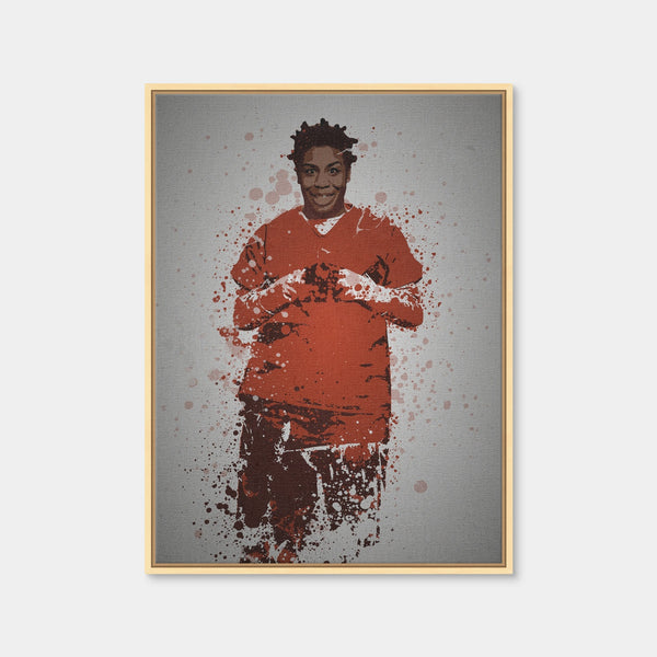 Crazy Eyes Wall Art — Framed Canvas Format preview