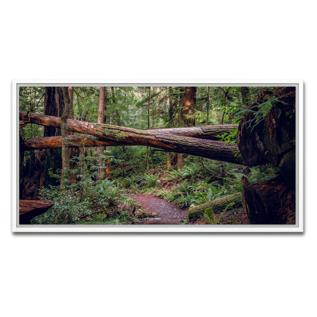 AUTO-MOCKUP WHITE | Crossed Trees | 1 Piece | White Framed Canvas | group=2x1