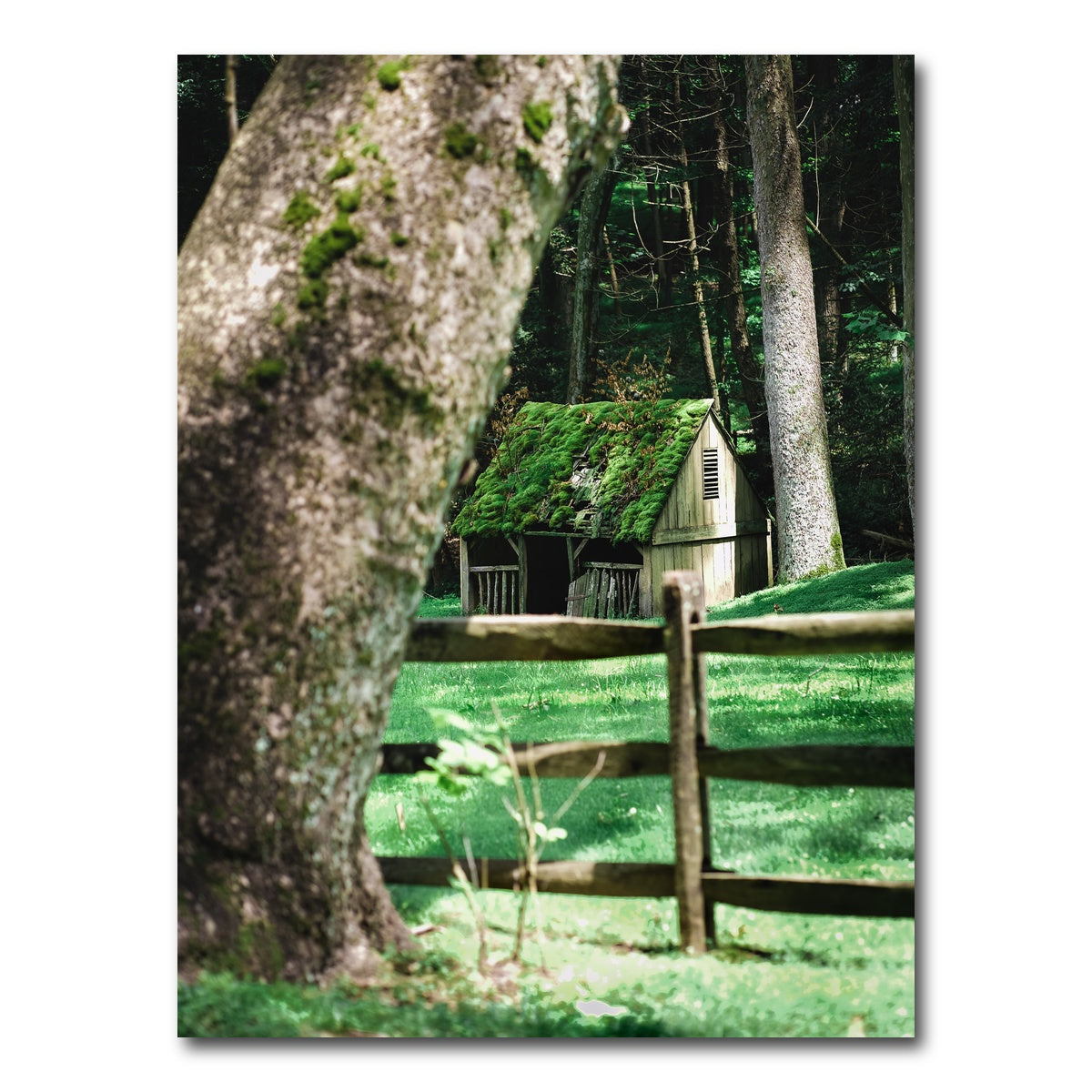 AUTO-MOCKUP WHITE | Cuttalossa Moss | 1 Piece | Gallery Wrap Canvas | group=3x4