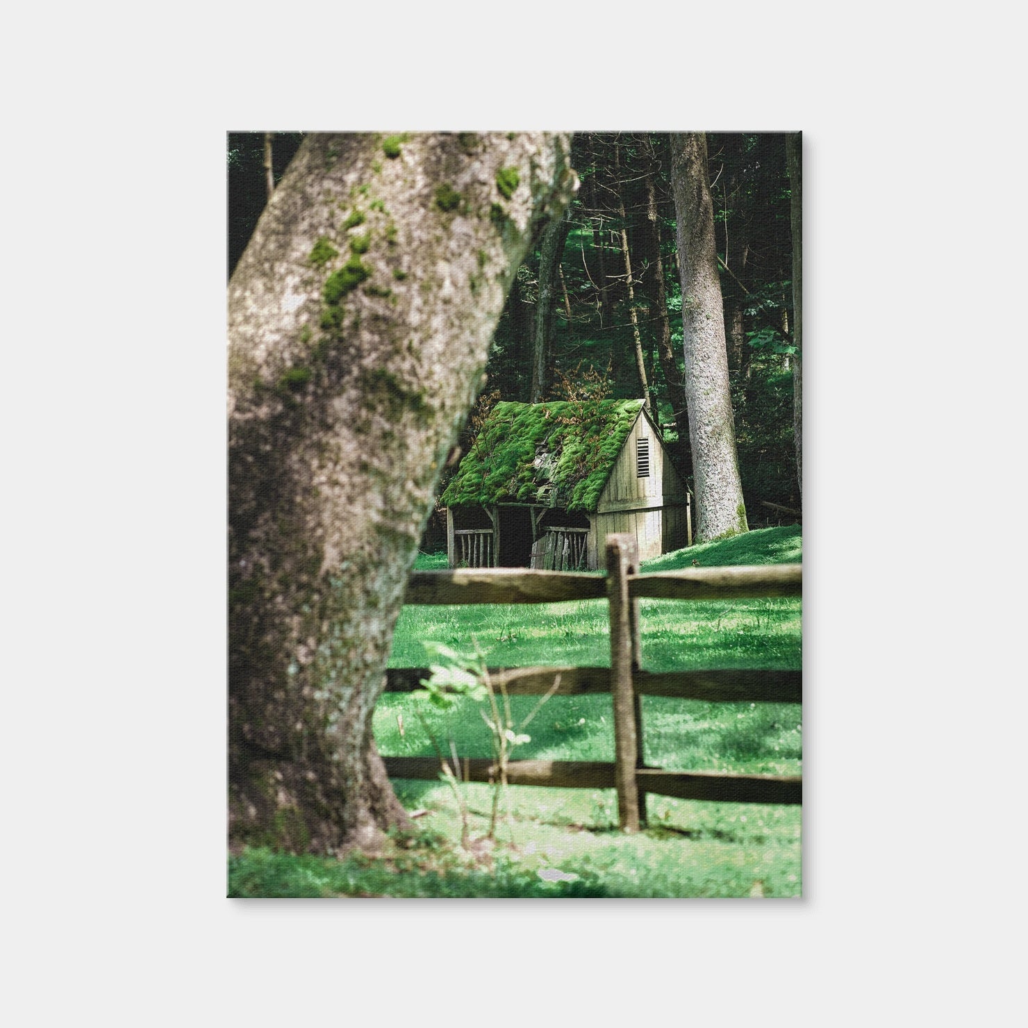 AUTO-MOCKUP WHITE | Cuttalossa Moss | 1 Piece | Gallery Wrap Canvas | group=3x4