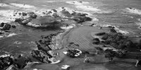Cypress Point Grayscale Wall Art