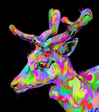 DOE Wall Art