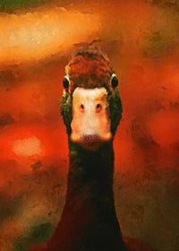 DUCK painting Wall Art