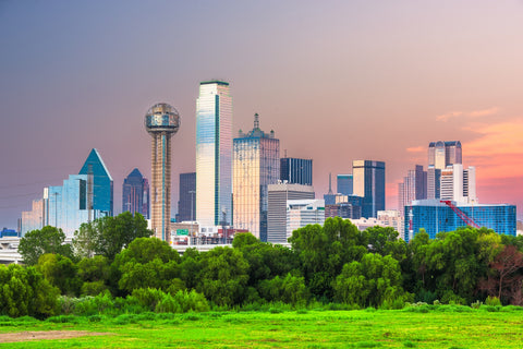 Dallas Skyline Wall Art