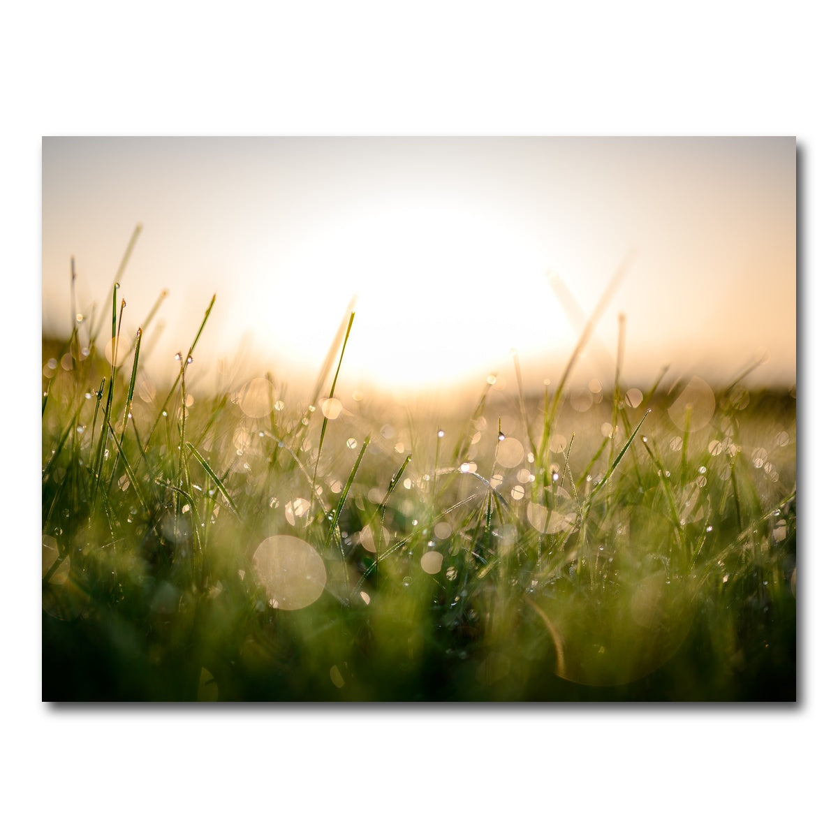 AUTO-MOCKUP WHITE | Damp Morning | 1 Piece | Gallery Wrap Canvas | group=4x3