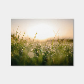 AUTO-MOCKUP WHITE | Damp Morning | 1 Piece | Gallery Wrap Canvas | group=4x3