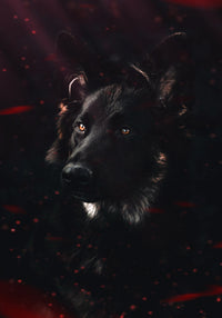 Dark Dog Wall Art