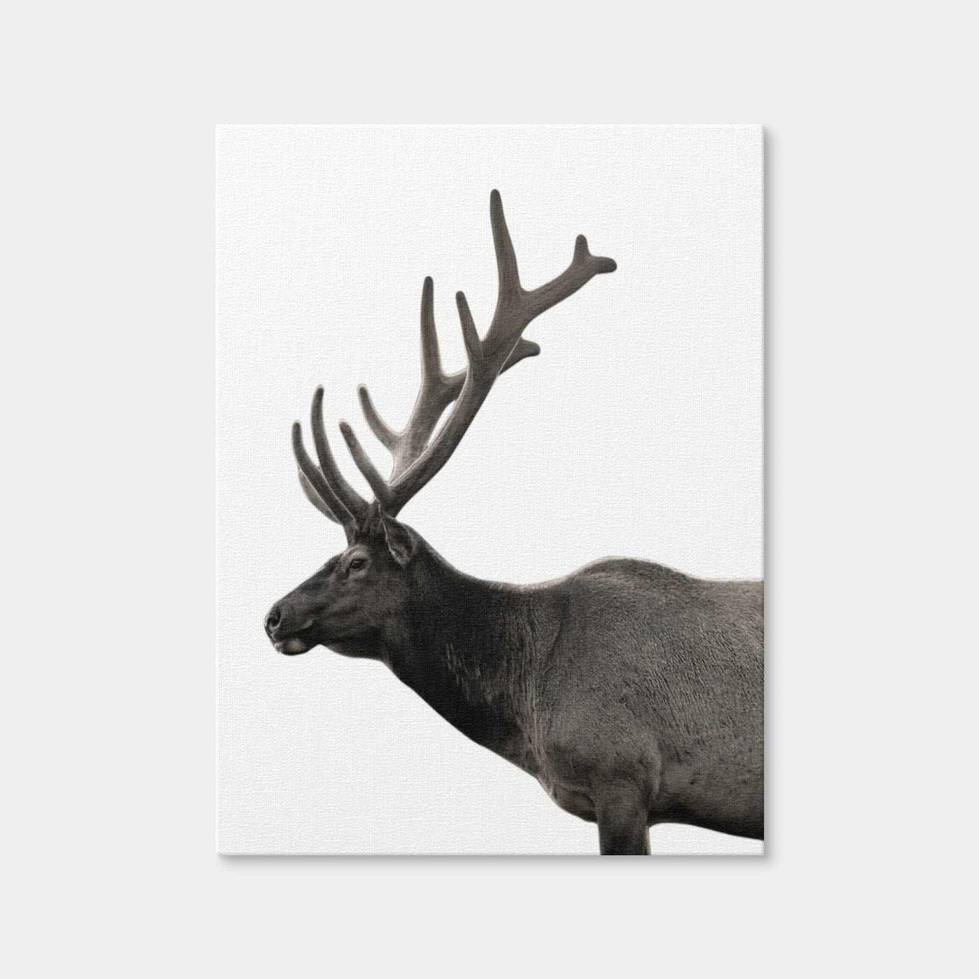 AUTO-MOCKUP WHITE | Deer Grayscale | 1 Piece | Gallery Wrap Canvas | group=3x4